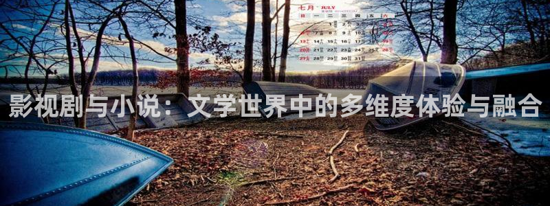 可可影视网