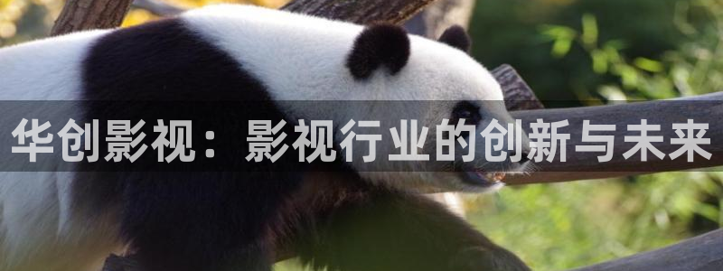 可可影视tv版官网入口