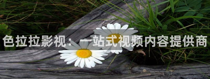 可可影视app