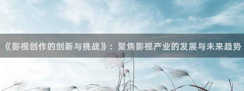 可可影视 官网